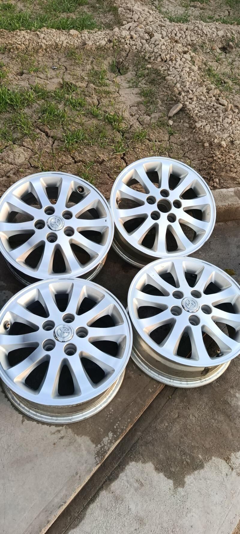 16lyk diska 4 100 TMT - Mary - img 2