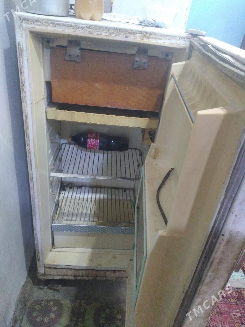 holodilnik kir masyn - Mary - img 1