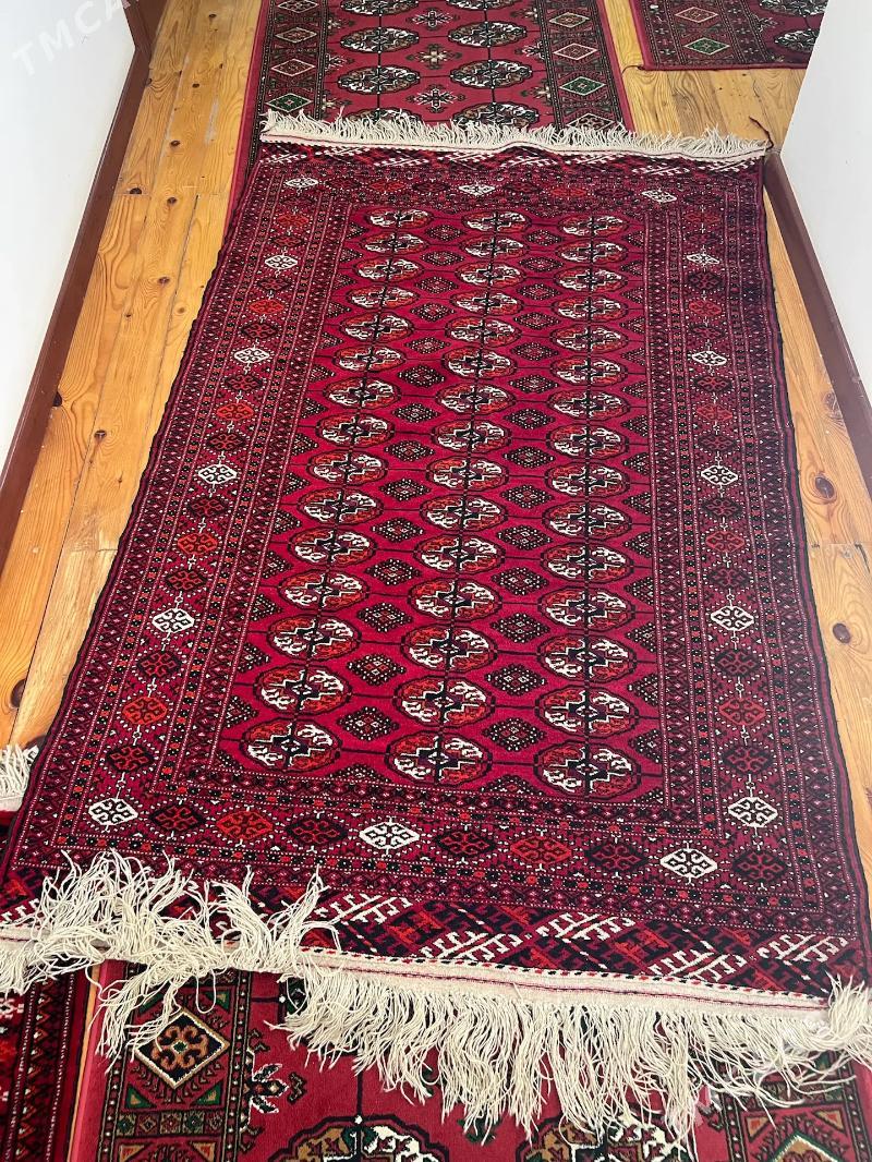 Haly - Aşgabat - img 1