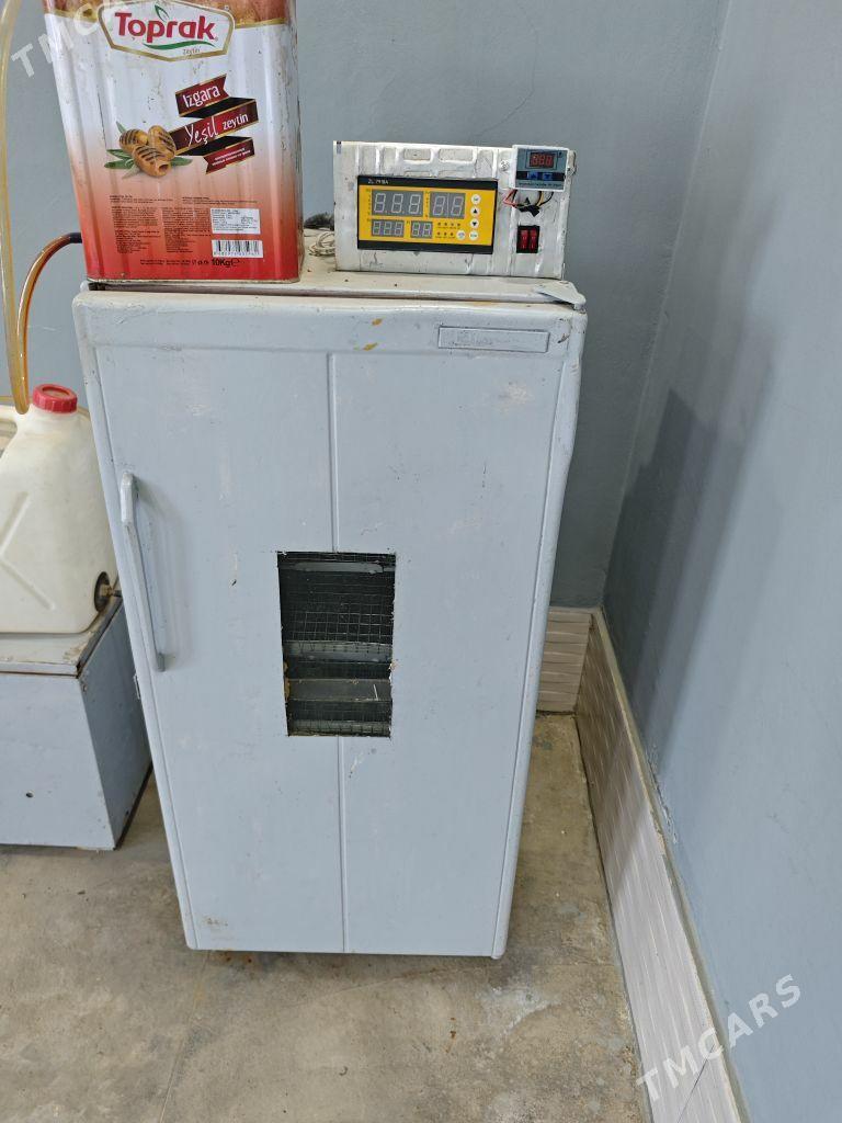 inkubator - Чарджоу - img 1