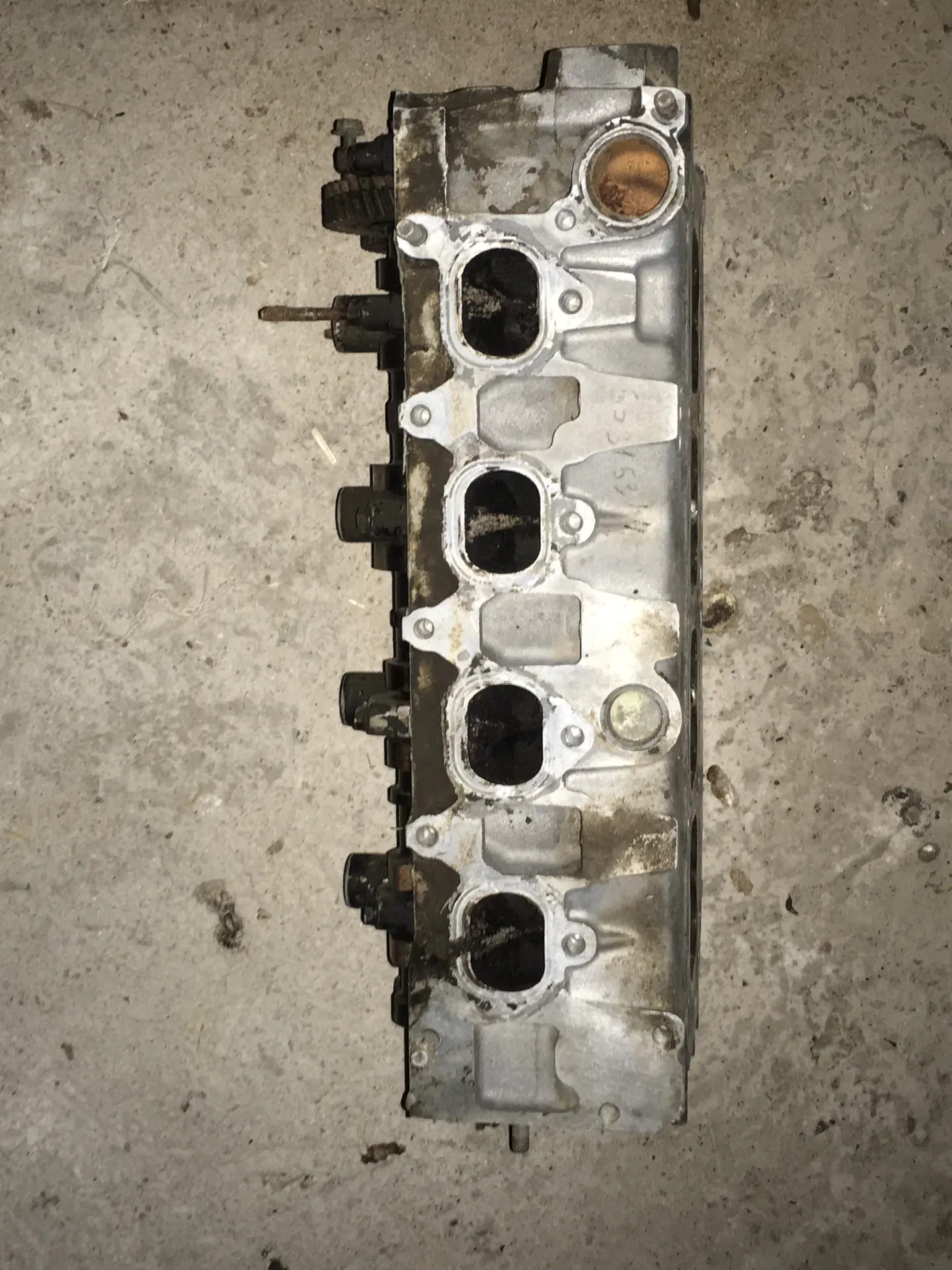 tayota carona motor karpka 500 TMT - Sakarçäge - img 1