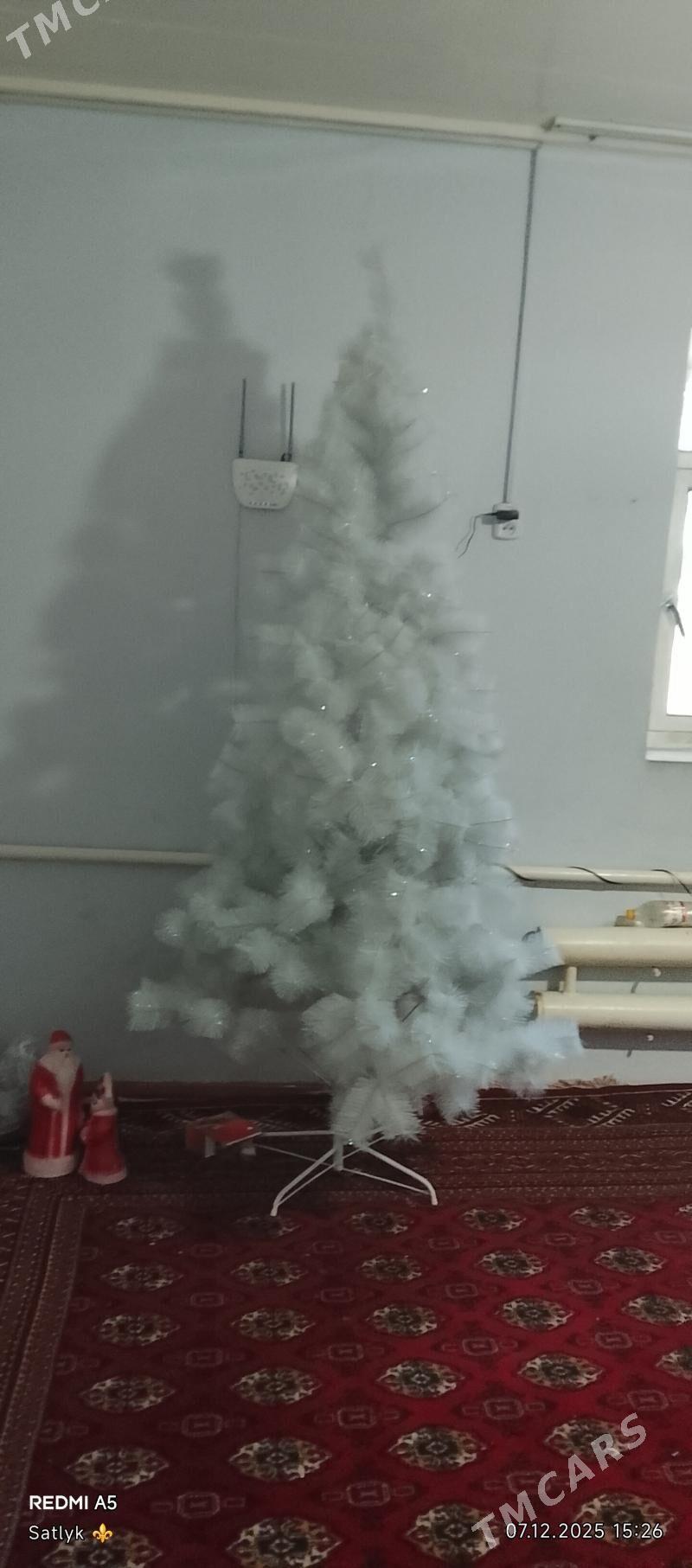 Arca - Болдумсаз - img 1