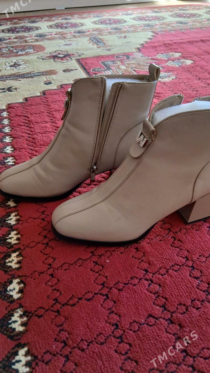 adik - Daşoguz - img 3