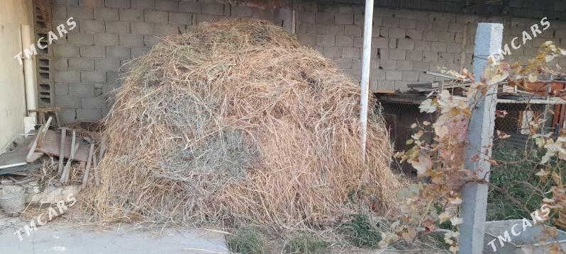 Bede arassa ýorunja garyşykly - Gökdepe - img 1