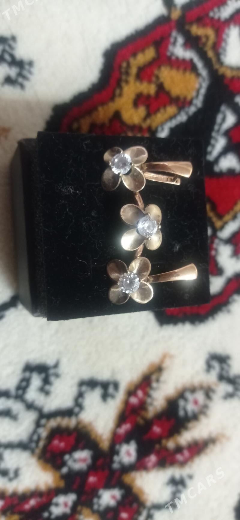 Satlyk Altyn - Кёнеургенч - img 4