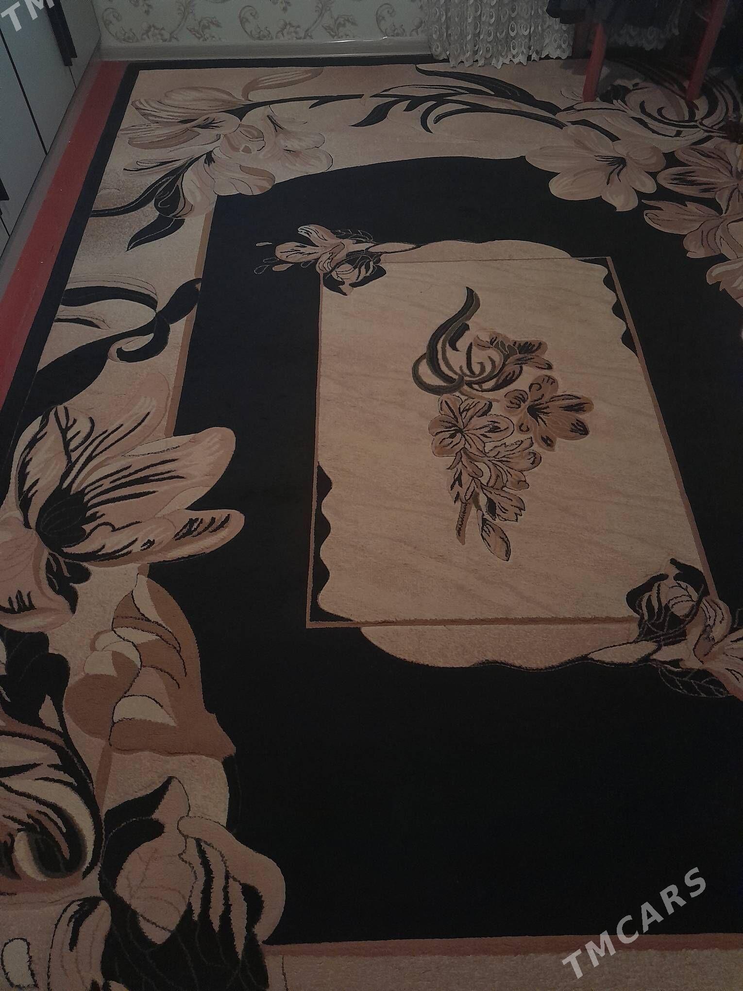 Haly - Balkanabat - img 1