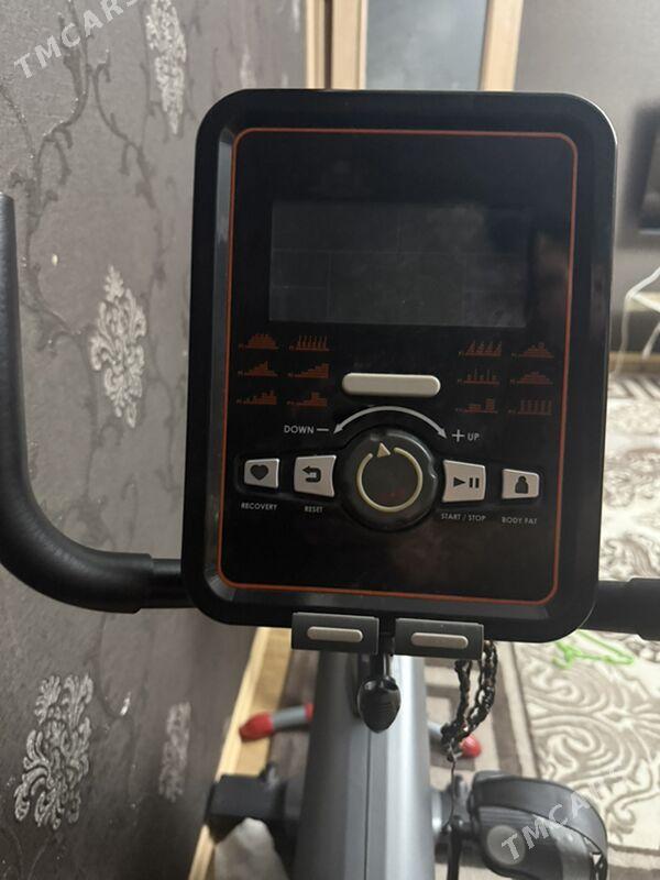 Begowoy tigie - Parahat 8 - img 1