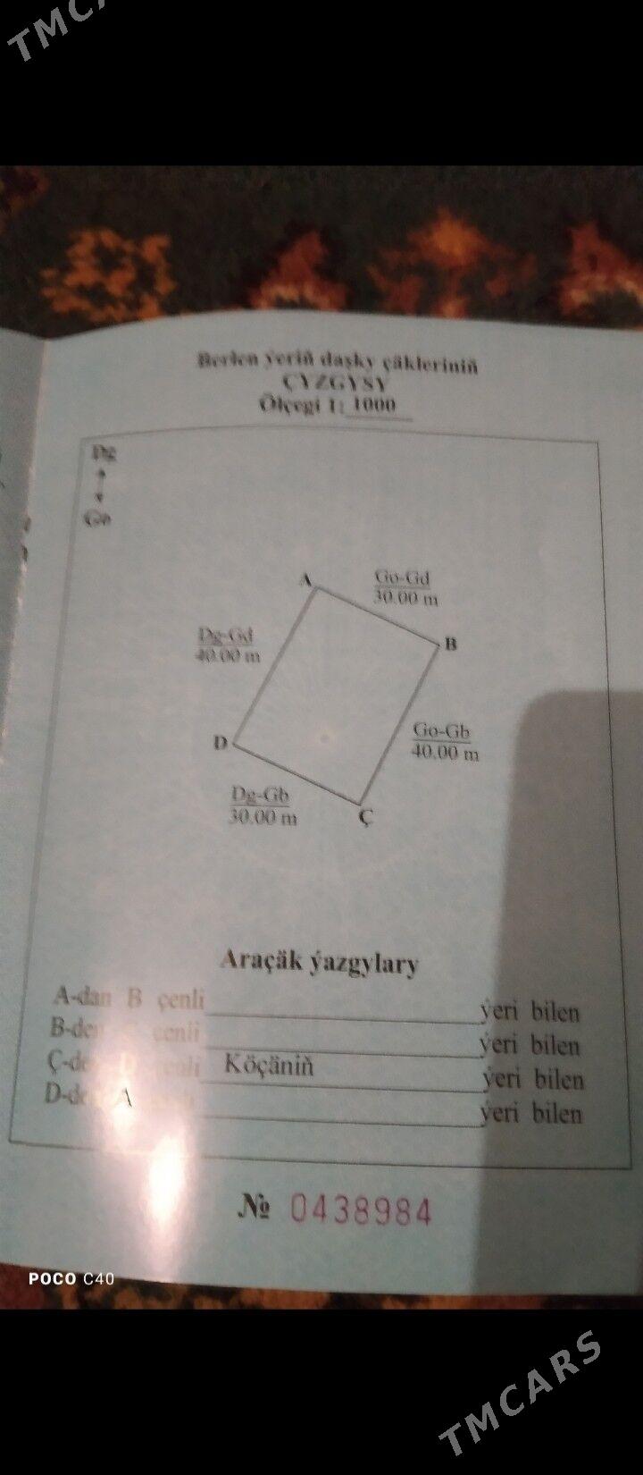 mellek yer - Daşoguz - img 1