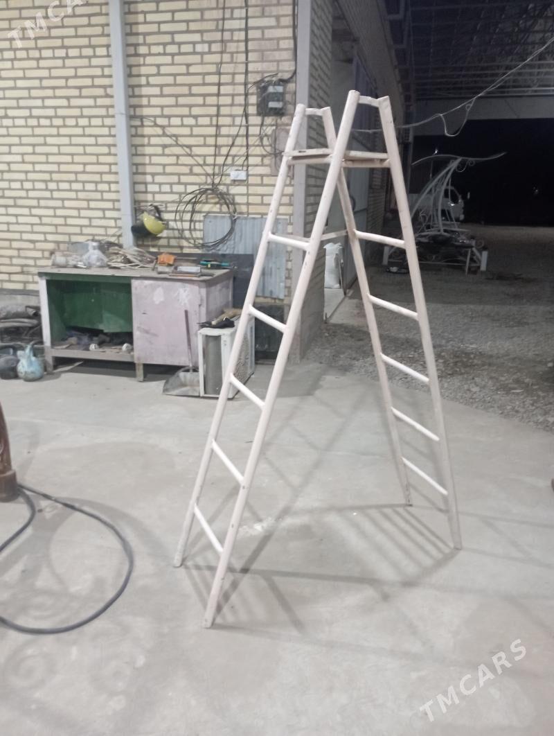 merdiwany - Mary - img 1