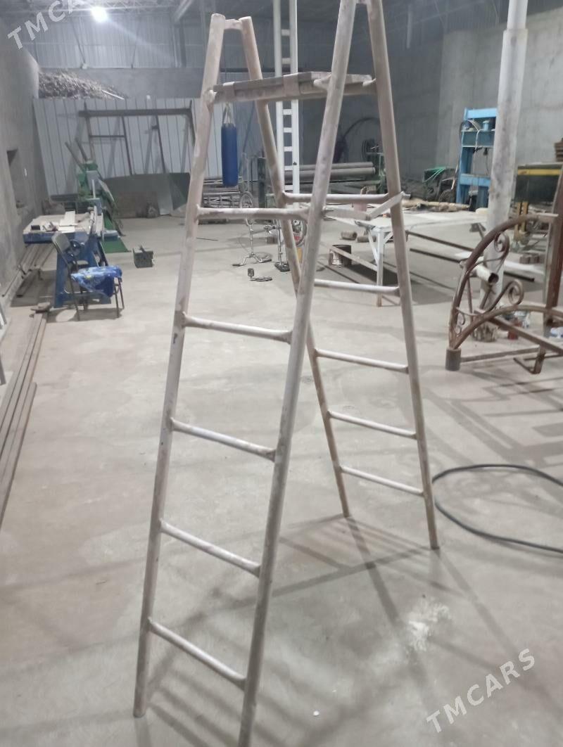 merdiwany - Mary - img 2