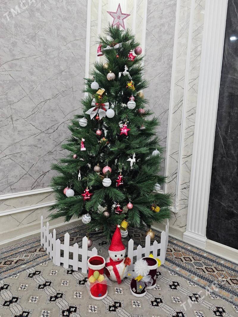 Taze yyl arca yolka - Ашхабад - img 1