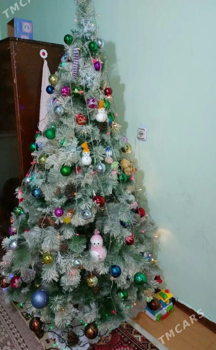 Ýolka arça - Гаудан "В" - img 1