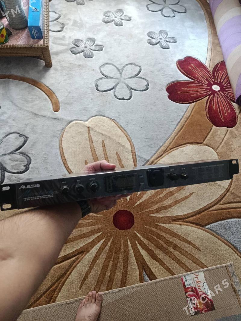 Alesis sifravoy rewer - Mary - img 1