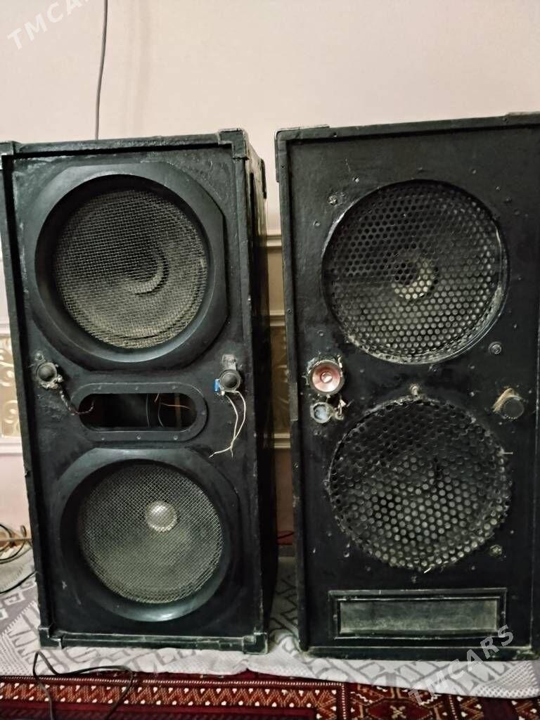 Toy kalonka - Gubadag - img 1