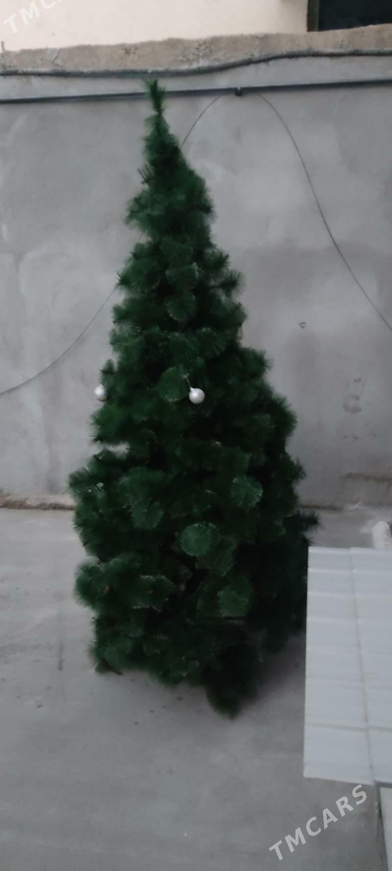 yolka - Aşgabat - img 1