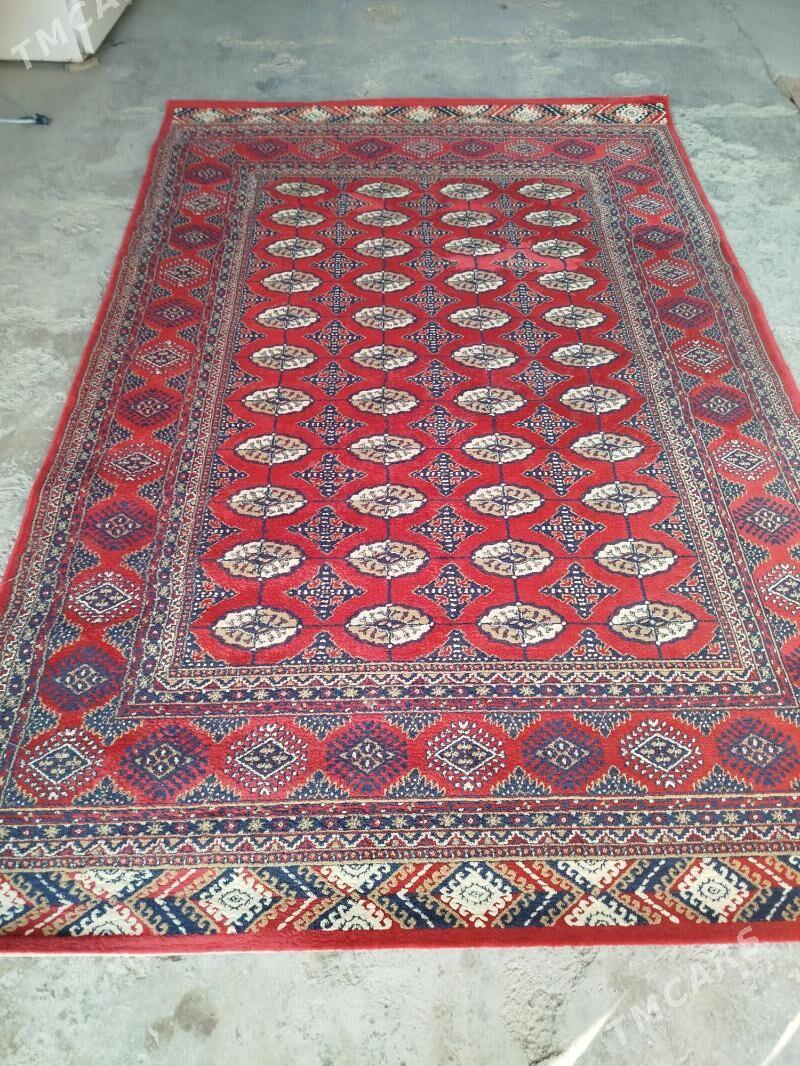 Haly - Бедев - img 1