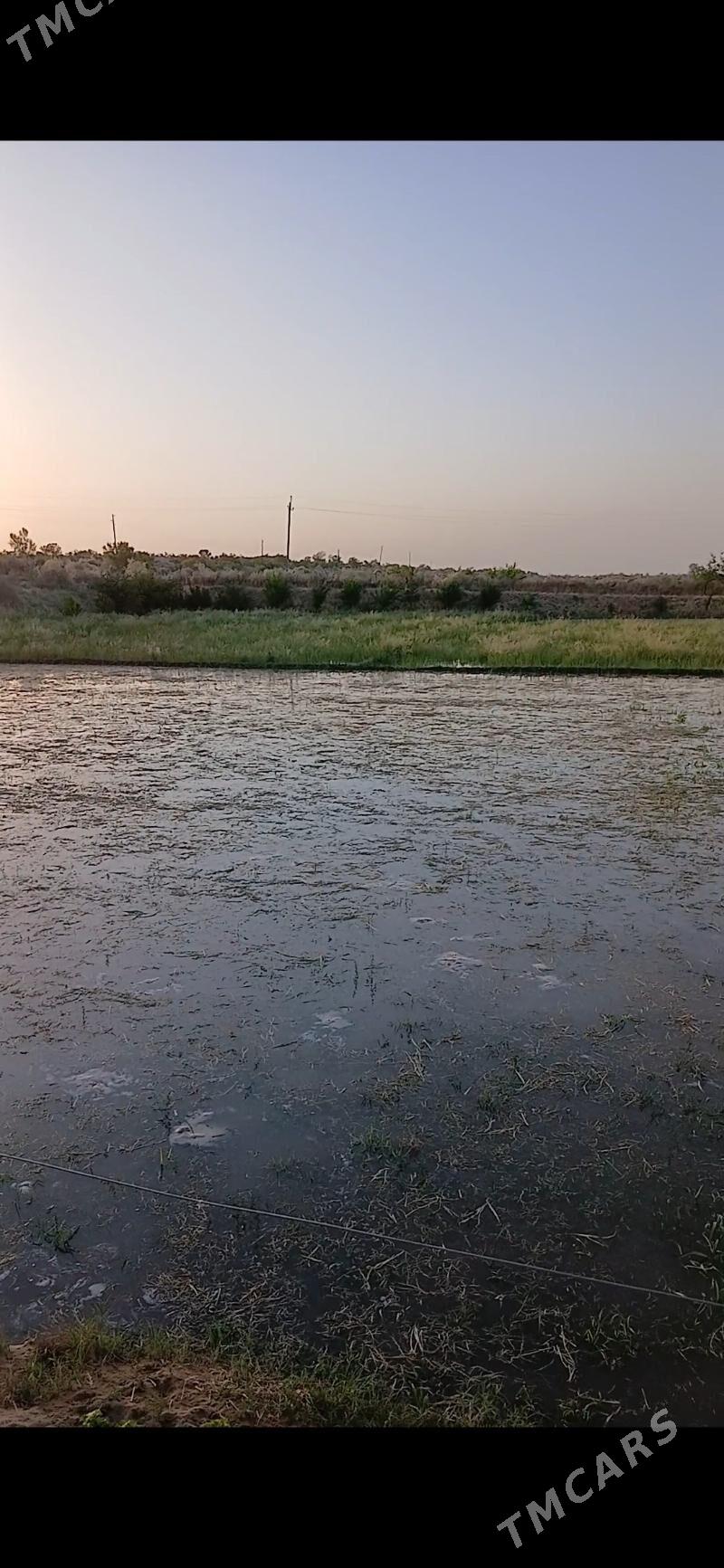 Mellek yer - Hojambaz - img 6