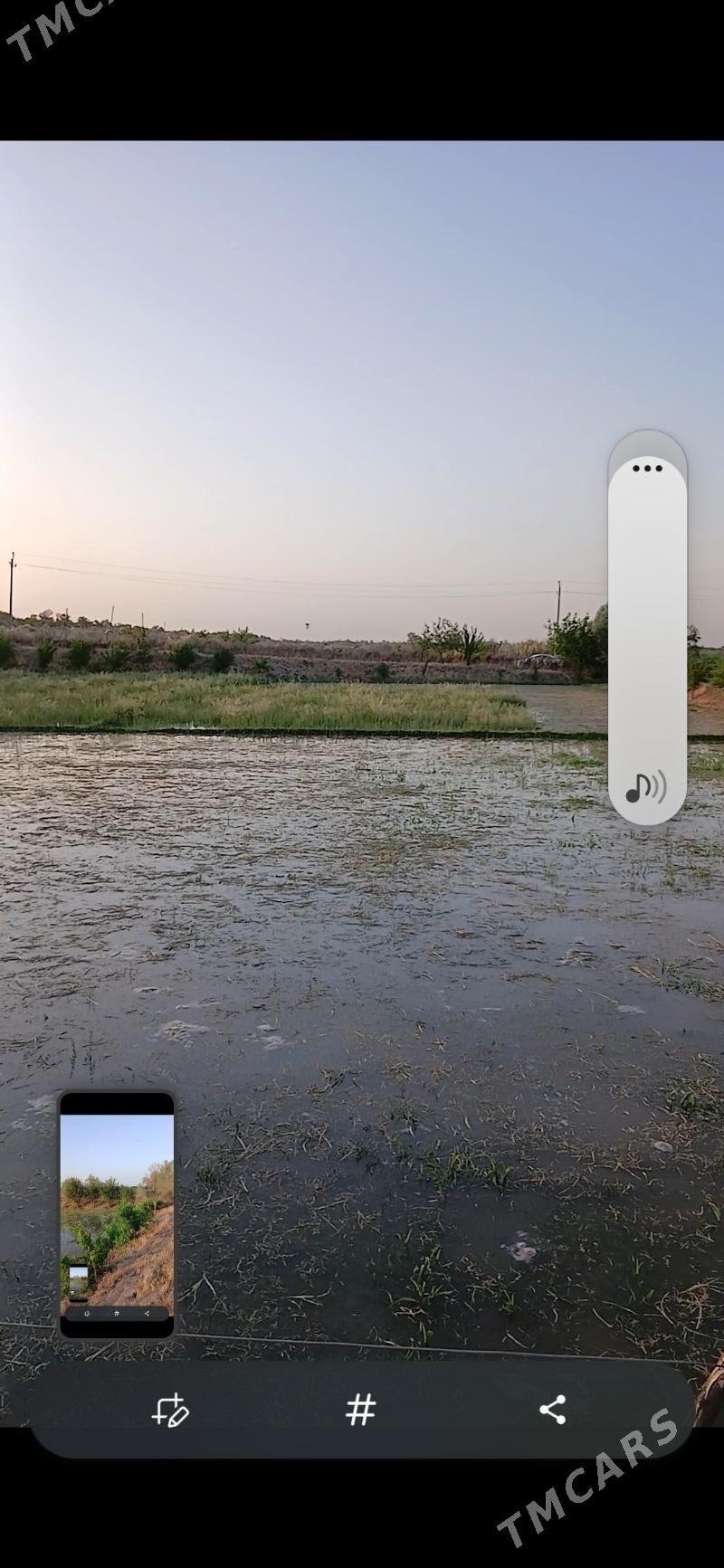 Mellek yer - Hojambaz - img 3