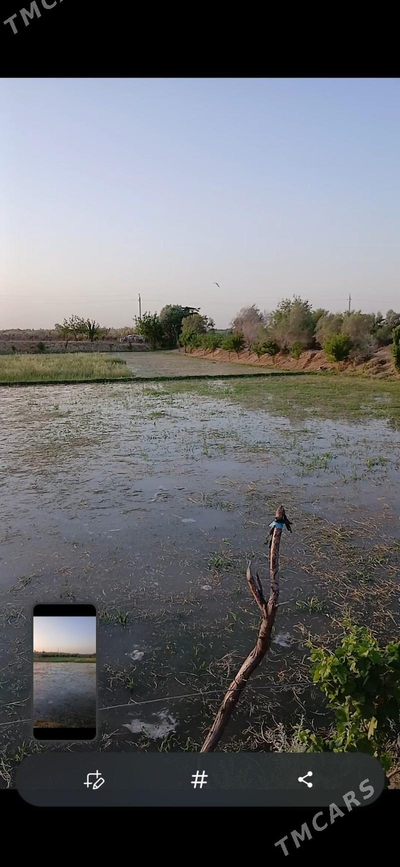 Mellek yer - Hojambaz - img 5