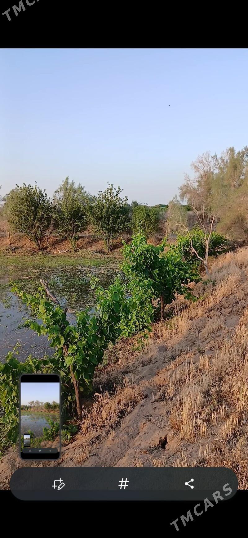 Mellek yer - Hojambaz - img 4