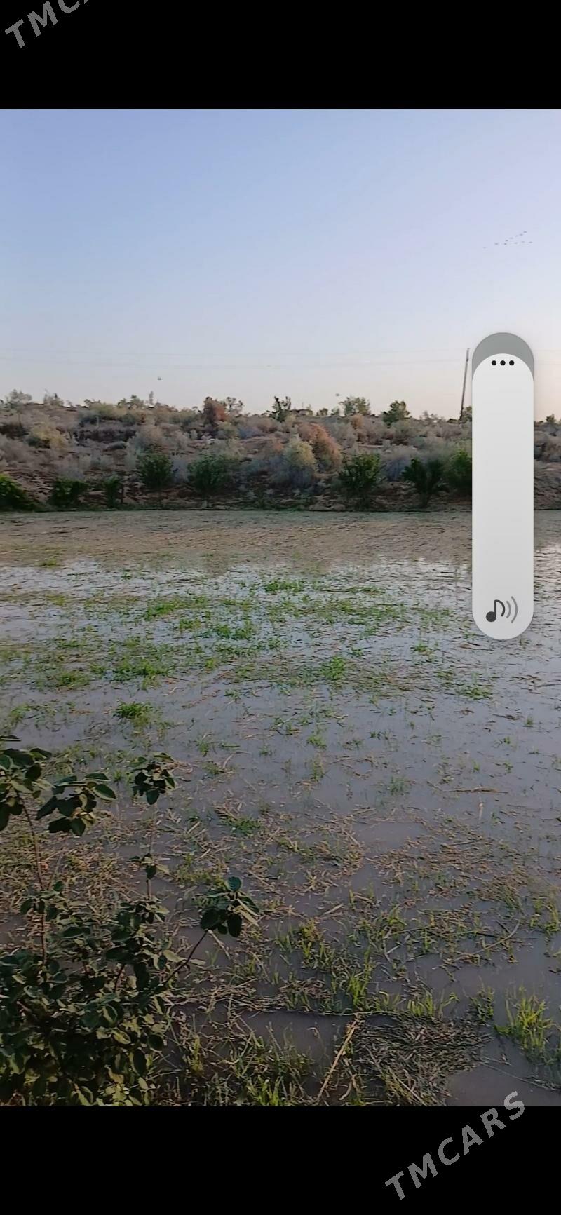 Mellek yer - Hojambaz - img 8