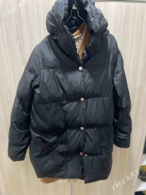 kurtga - Туркменбаши - img 1