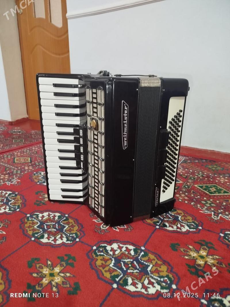 akardion - Garabekewül - img 1