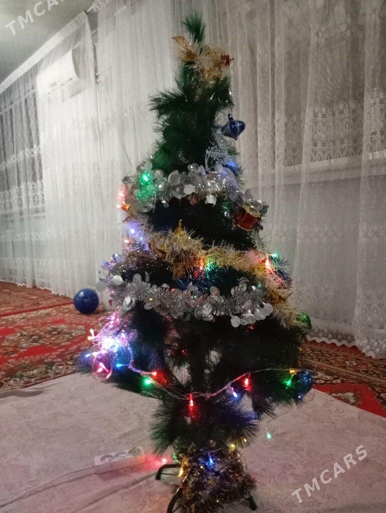 taze yyl arcasy - Kerki - img 1