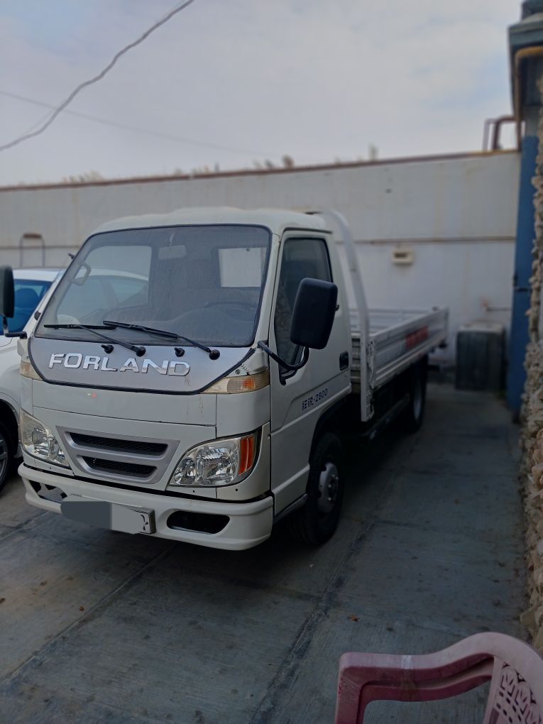 Forland H2 2008 - 76 000 TMT - Mary - img 1