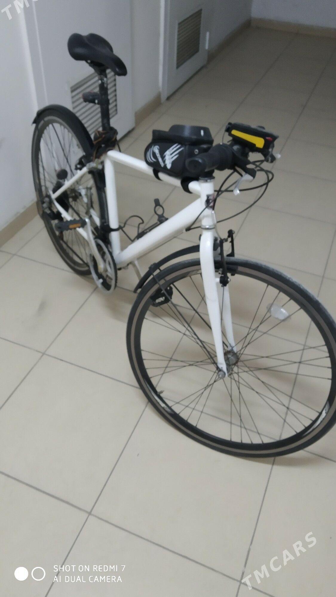 Tigir Original Spartiwnyy - Ашхабад - img 1