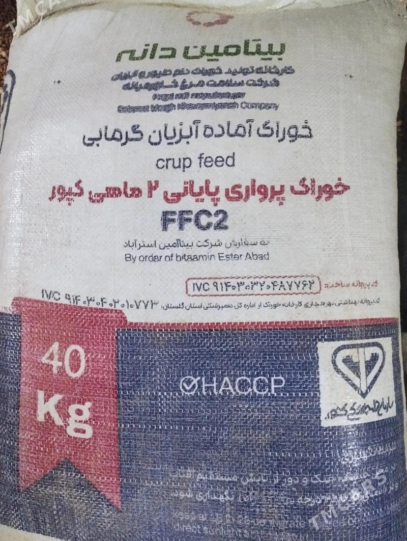 EÝRAN SOÝA TOWUK JÜÝJE ÜÇIN - Bagyr - img 1