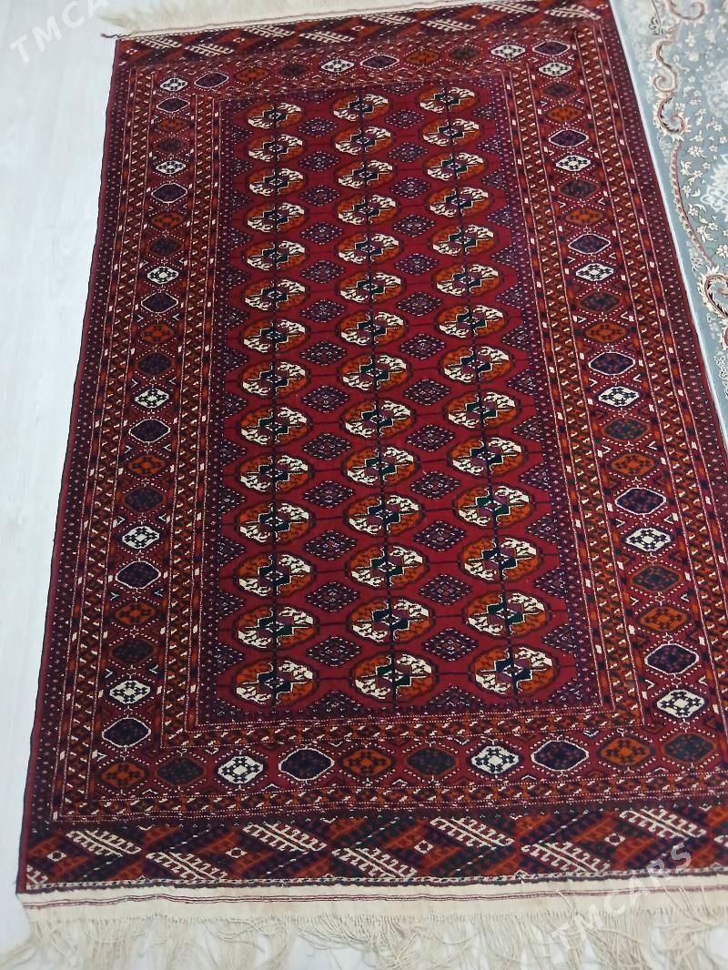 El haly - Чоганлы - img 2