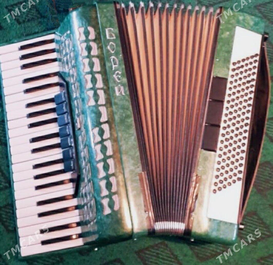 Akkordeon - Mary - img 1