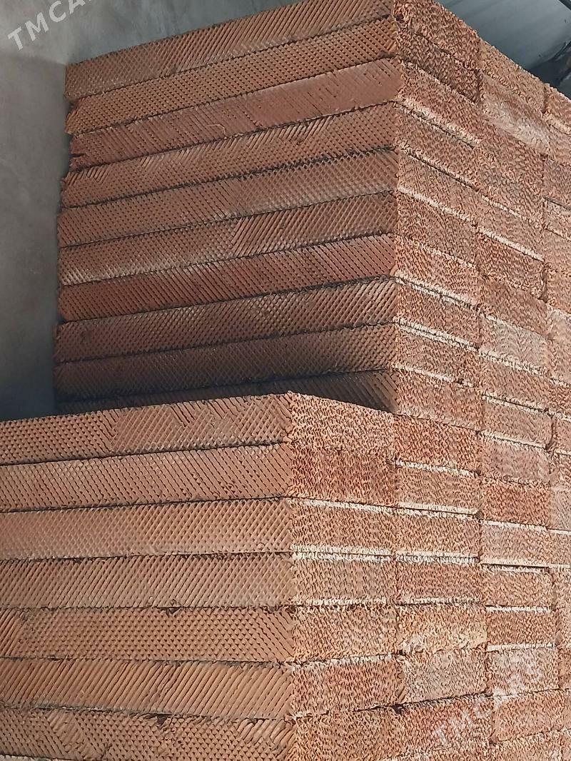 pet - Gökdepe - img 1