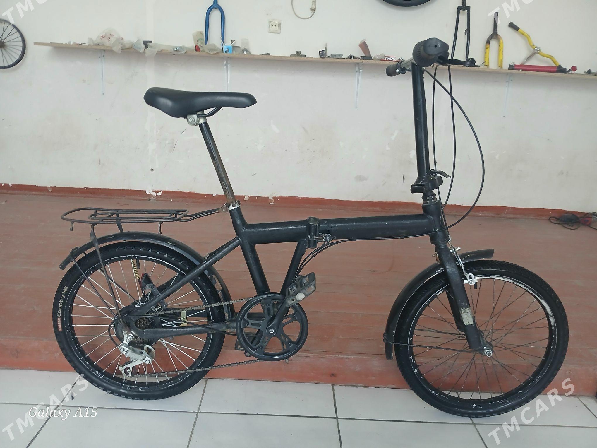 wels kama - Mary - img 1