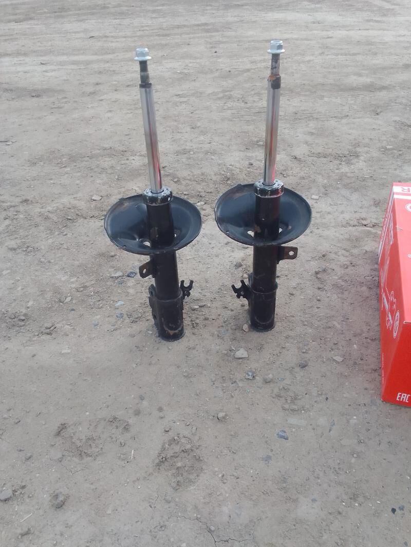 amessatyr 300 TMT - Этрек - img 2