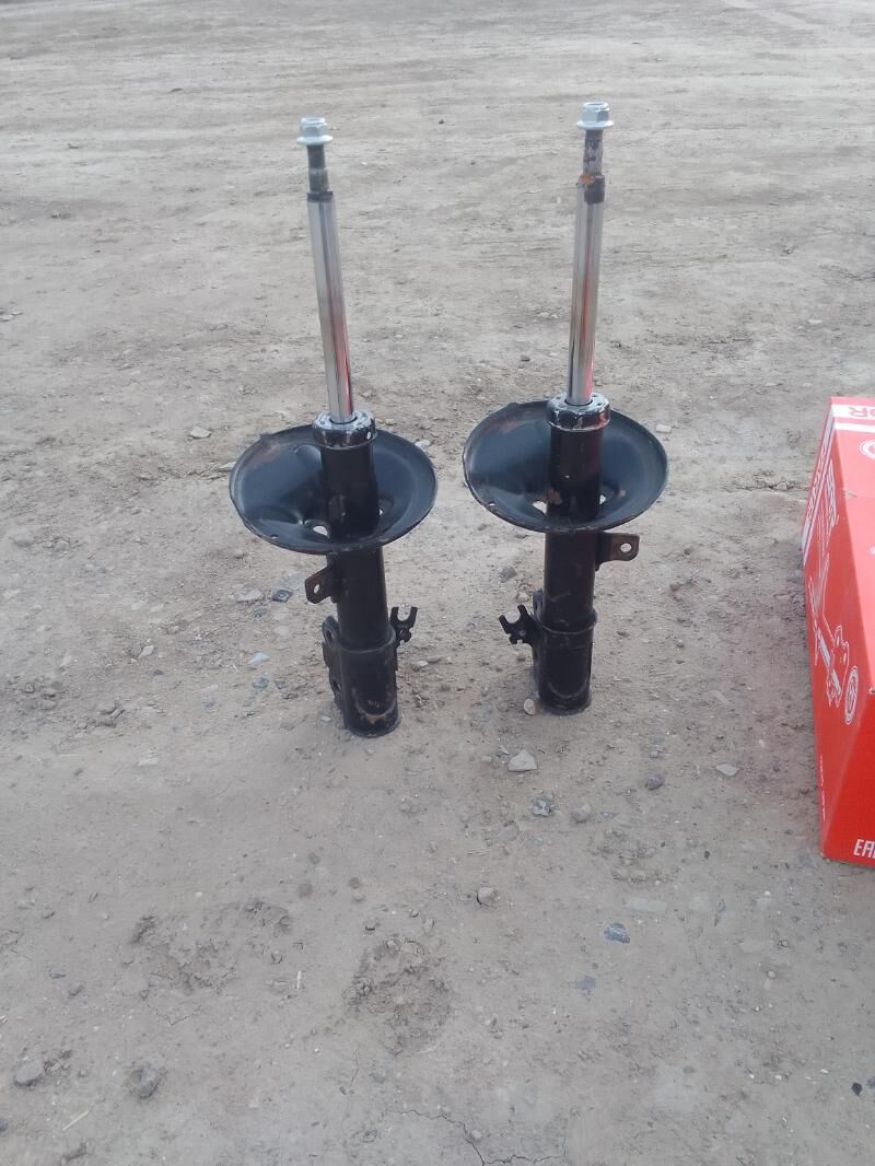 amessatyr 300 TMT - Этрек - img 4