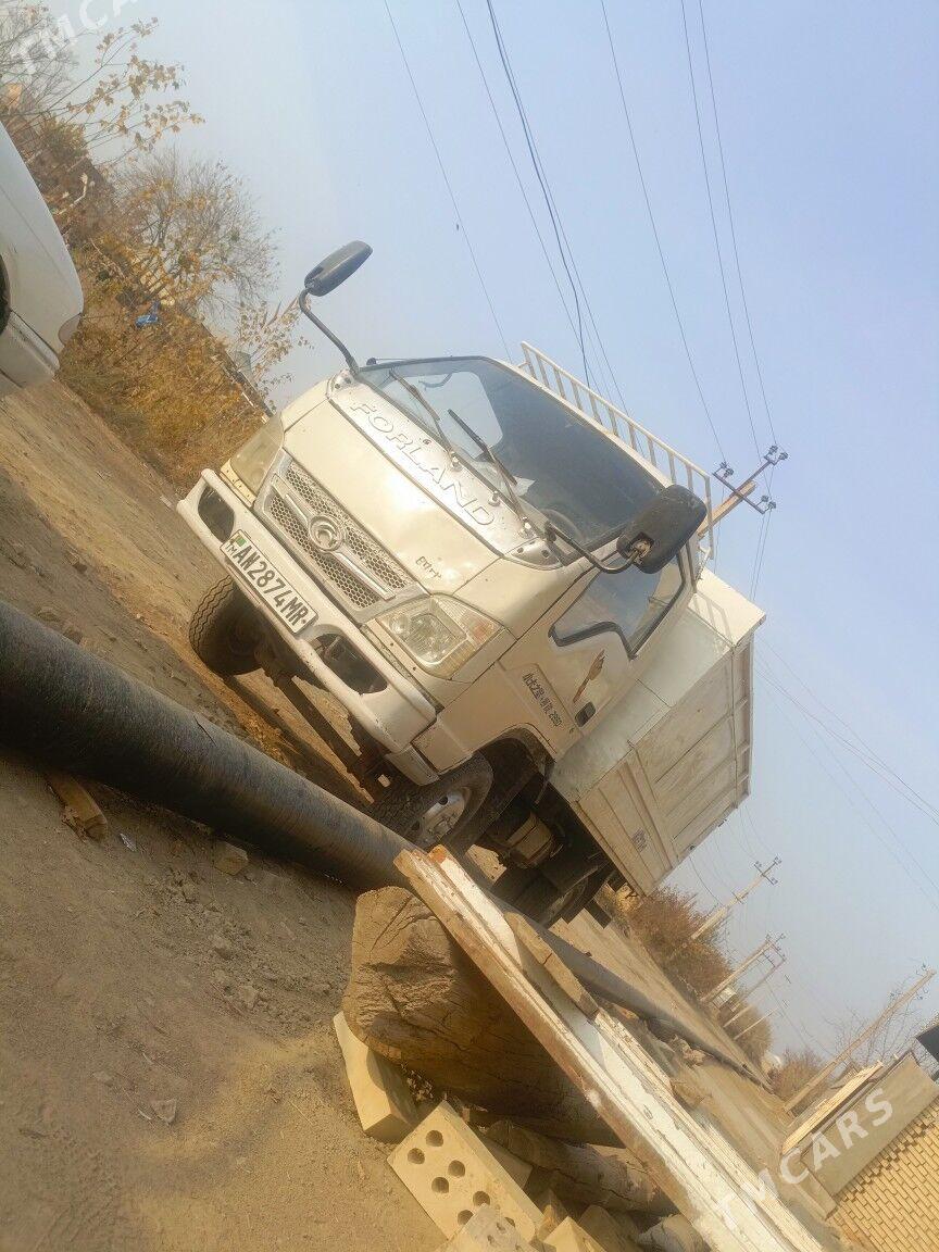 Forland H2 2010 - 90 000 TMT - Sakarçäge - img 1