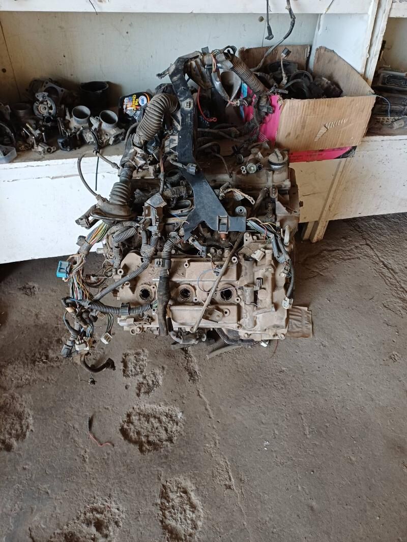 Motor 3.5 5 000 TMT - Дянев - img 2