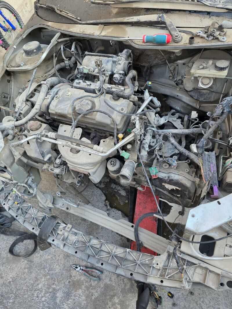 peźo morda 6 000 TMT - Hitrowka - img 1