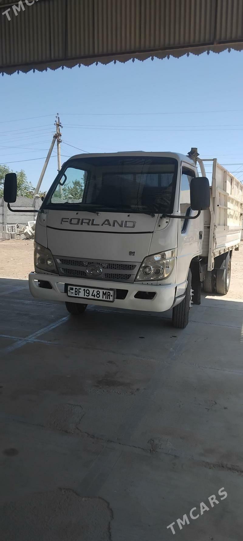 Forland H2 2010 - 88 000 TMT - Mary - img 1