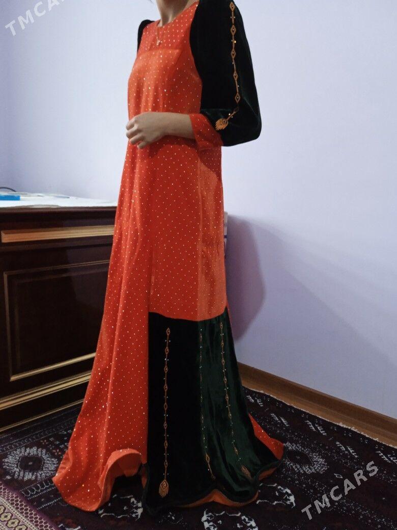 Toy koynekler - Balkanabat - img 1