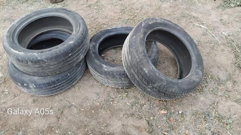 teker 215.55.17 700 TMT - Sakarçäge - img 1