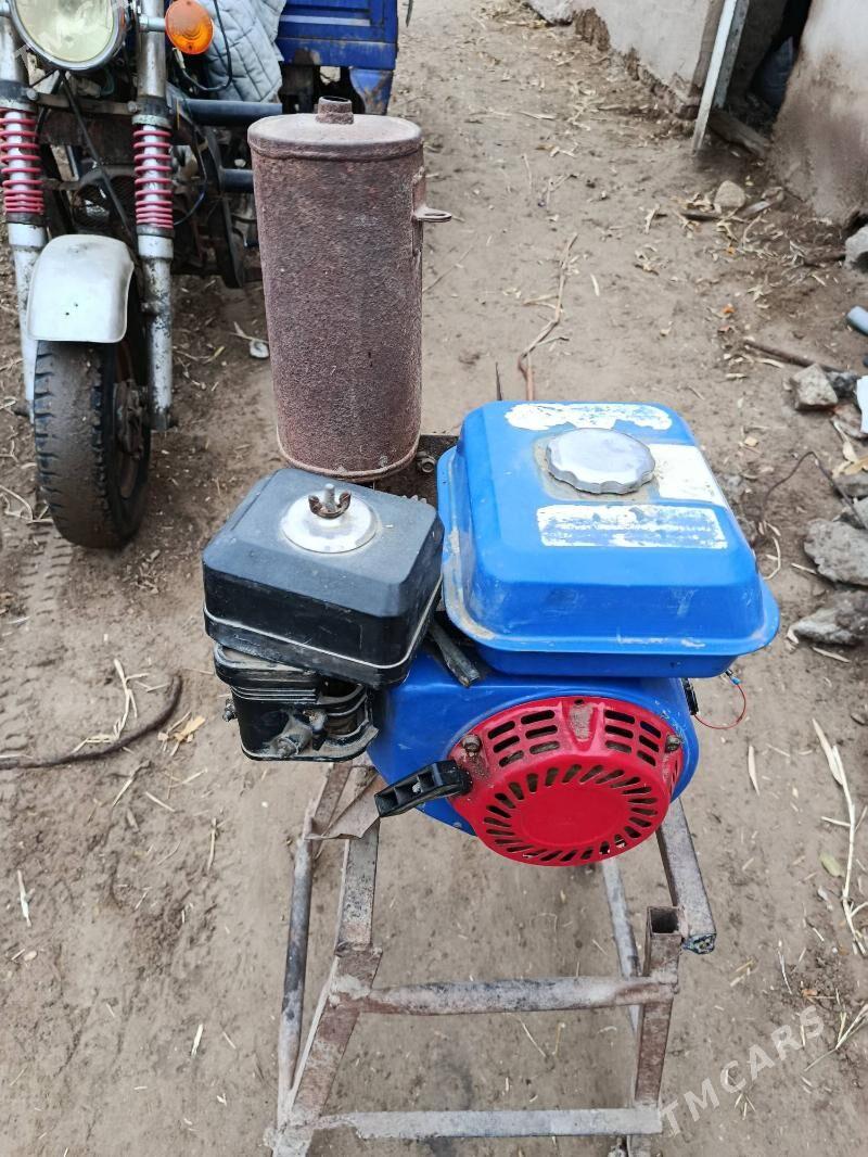 ot dograyan - Köneürgenç - img 1