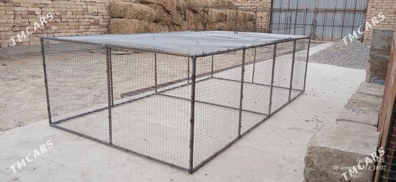 juje ketek - Türkmenabat - img 1