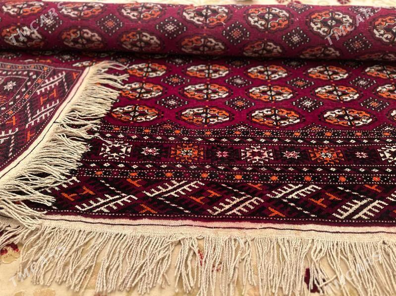 El haly - Ашхабад - img 1