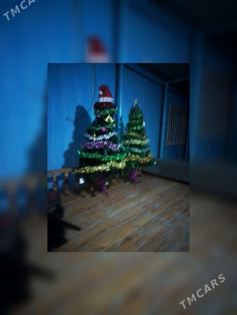 yolka - Ашхабад - img 1