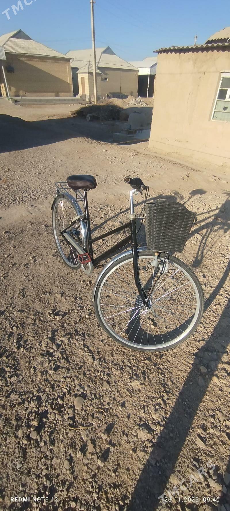 weloseped - Mary - img 1