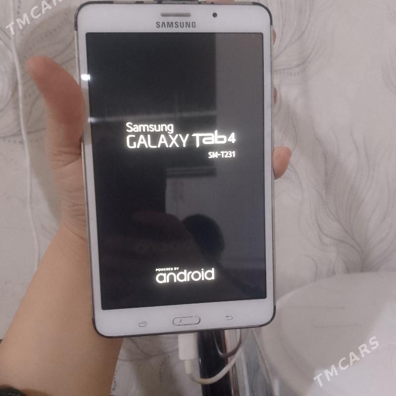 Tel Tap 4 - Büzmeýin - img 1