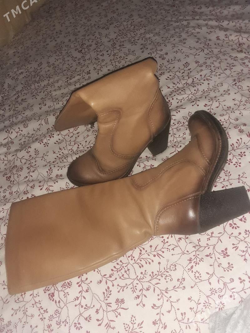 edik - Türkmenabat - img 1